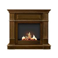 Биокамин в портале SteelHeat Rim